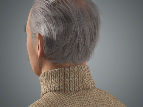Cartoon Old Male Character Ready for Game and Animation Modèle 3D